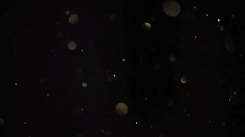 Elegant Particles Fly Stock Footage 170574844