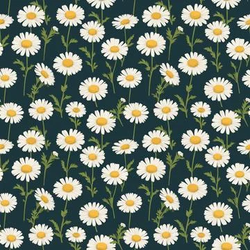 Elegant Pattern Charming White Daisies Stock Illustration
