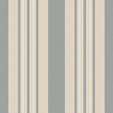 Elegant pattern textile stripe, scratch vertical vector texture. Latin line.. Stock Illustration