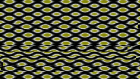 Elegant peacock feather pattern seamless background for tropical luxury tex.. Stock Footage 342158887