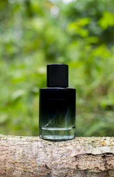 Elegant Perfume Bottle on Rustic Log with Natural Forest Background Stock Photos