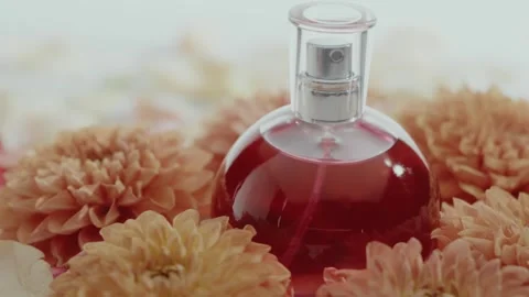 Elegant Perfume Bottle Surrounded By Vibrant Chrysanthemum Flowers Vidéo 342804419