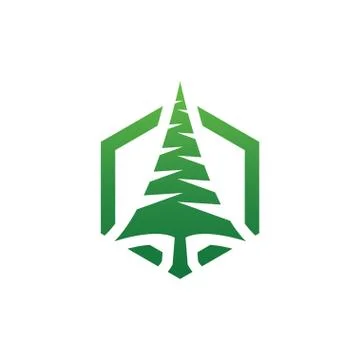 Elegant pine tree in hexagon shape logo design template vector Stock Illustration