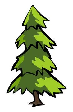 Elegant pine tree illustration vector Stock Illustration