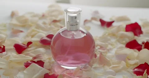 Elegant Pink Perfume Bottle Surrounded By Rose Petals On White Background Stock-Footage 312455758
