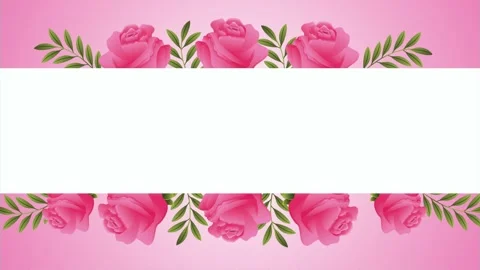 Elegant pink roses frame a white space with gentle motion on a gradient bac.. Stock Footage 334090191