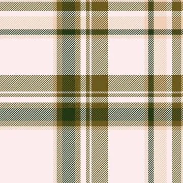 Elegant plaid pattern in muted earth tones.  Perfect for textile design, fash Illustrazione stock