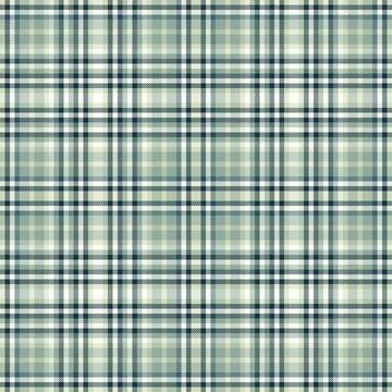 Elegant plaid pattern. Sophisticated texture for backgrounds, apparel, or des Illustrazione stock
