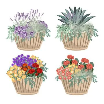 Elegant potted flowers composition set. Petunia flowers, marigolds, geraniu.. Stock Illustration
