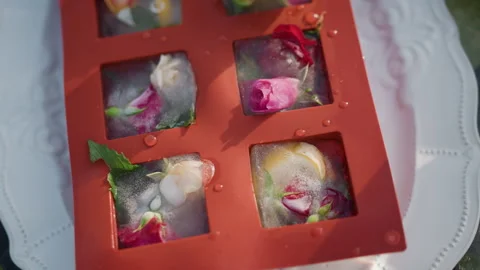 Elegant presentation featuring floral ice cubes on white dish. Creative Vídeos de archivo 331370767