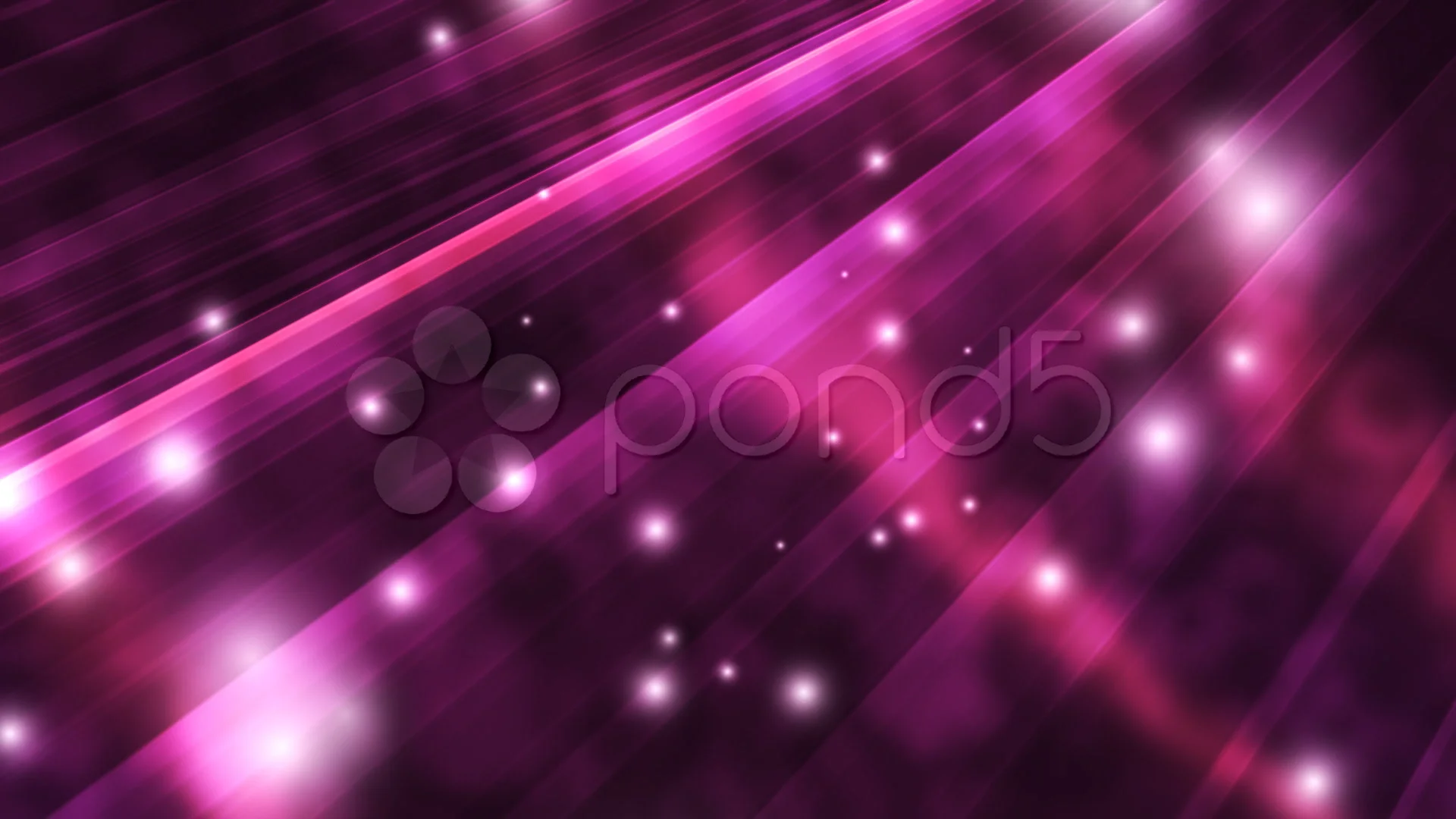Elegant purple background | Stock Video | Pond5