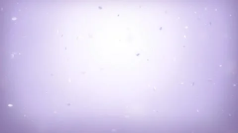 Elegant purple gradient background with floating soft petals Stock-Footage 342400903