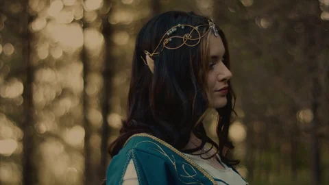 Elegant queen of elfs. Stock-Footage 92215789