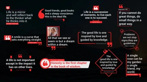 Elegant Quotes Designs Stock After Effects
