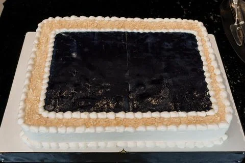 Elegant Rectangular Frosted Cake with Black Mirror Glaze and Coconut Accent.. Stockfoto's