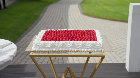 Elegant rectangular raspberry cake with white whipped cream frosting placed on 動画素材 320111432