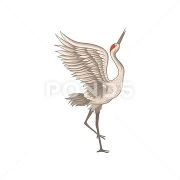 Elegant red-crowned crane standing on one leg with wide open wings. Wild bird Stock Illustration