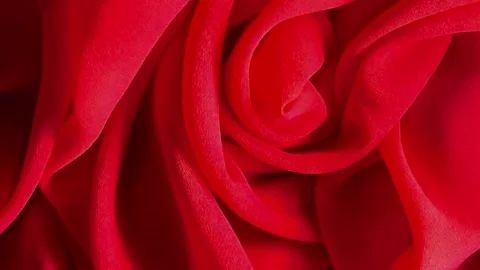 Elegant red rose fabric texture close up, floral textile pattern and luxury desi Stock Footage 335365061