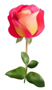 Elegant rose Stock Illustration