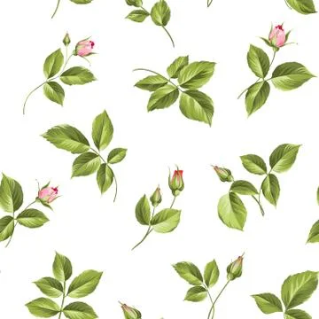 Elegant rose seamless pattern. Illustrazione stock