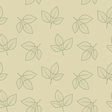 Elegant sage green leaf pattern on a pale beige background.  Perfect for natu Stock Illustration