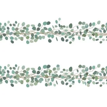 Elegant seamless borders of eucalyptus branches. Floral frame or greeting car Stock Illustration