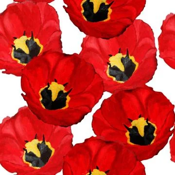 Elegant seamless pattern with beautiful red tulips, design element Stock Illustration