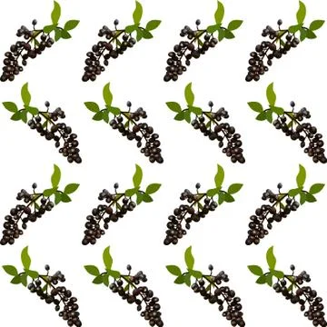 Elegant seamless pattern with black elderberries, design element Stock Illustration