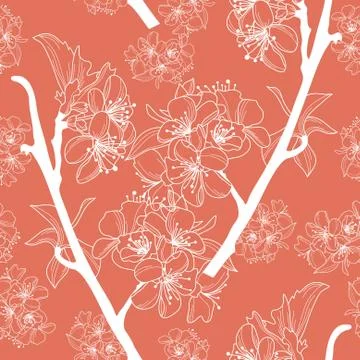 Elegant seamless pattern with cherry blossom for your design Stock Illustration