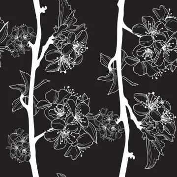 Elegant seamless pattern with cherry blossoms for your design Stock Illustration