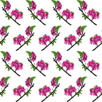 Elegant seamless pattern with decorative cherry blossom, design element Stock Illustration