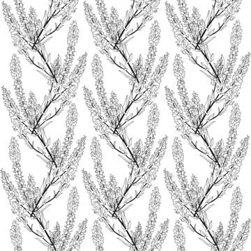 Elegant seamless pattern with decorative flowers for your design Stock Illustration