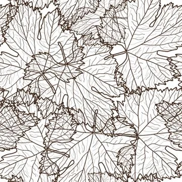 Elegant seamless pattern with decorative grape leaves for your design Stock Illustration