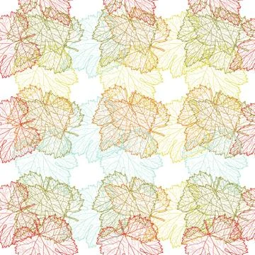 Elegant seamless pattern with decorative grape leaves, design element Illustrazione stock