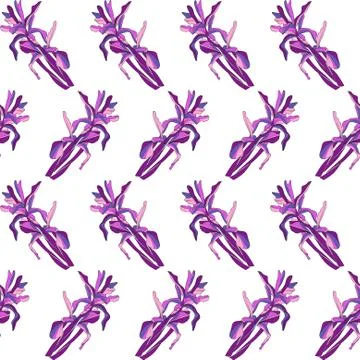 Elegant seamless pattern with decorative iris flowers, design element Stock Illustration