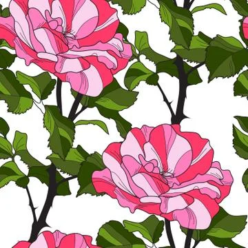 Elegant seamless pattern with decorative pink roses, design element Stock Illustration
