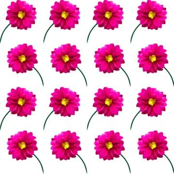 Elegant seamless pattern with decorative pink dahlia flowers, design element Stock Illustration