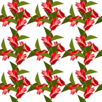 Elegant seamless pattern with decorative red tulips, design element Stock Illustration