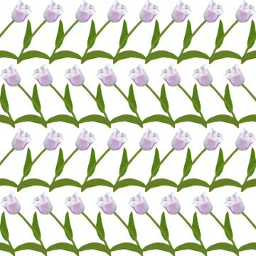 Elegant seamless pattern with decorative soft violet tulips, design element Stock Illustration