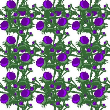 Elegant seamless pattern with decorative thistle flowers, design elements Stock Illustration
