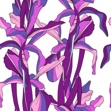 Elegant seamless pattern with decorative violet iris flowers, design element Stock Illustration