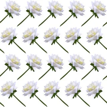 Elegant seamless pattern with decorative white roses, design element Stock Illustration