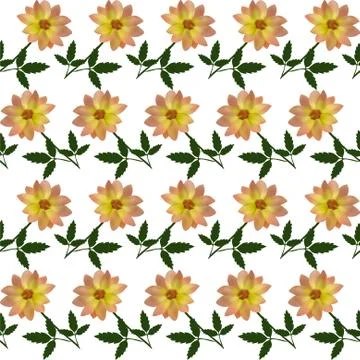 Elegant seamless pattern with decorative yellow dahlia flowers, design element Illustrazione stock