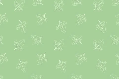 Elegant seamless pattern of delicate white leaves on a pastel green backgro.. Stock Illustration