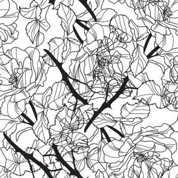 Elegant seamless pattern with hand drawn decorative roses, design element Stock Illustration