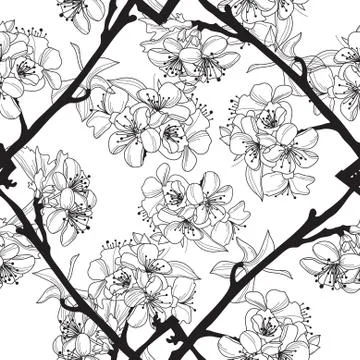 Elegant seamless pattern with hand drawn cherry flowers for your design Stock Illustration