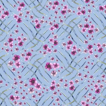 Elegant seamless pattern with hand drawn poppy flowers, design elements. Illustrazione stock