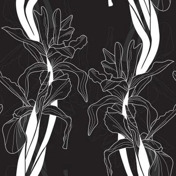 Elegant seamless pattern with iris flowers for your design Illustrazione stock