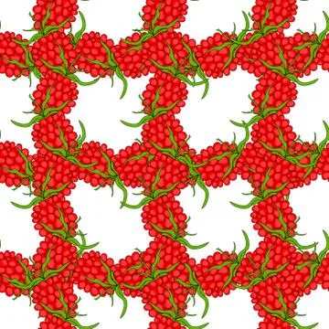 Elegant seamless pattern with ripe red raspberries, design element Illustrazione stock