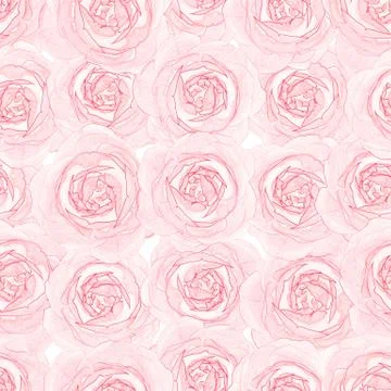 Elegant seamless roses pattern 写真素材